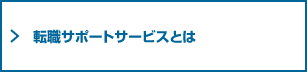 転職サポートサービスとは