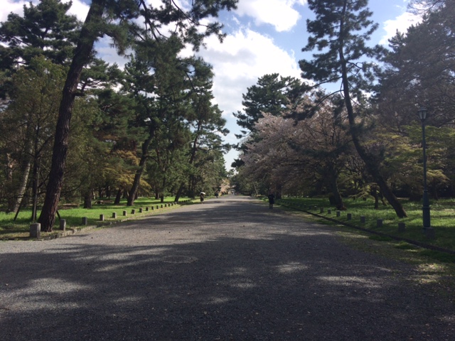 京都御苑の写真