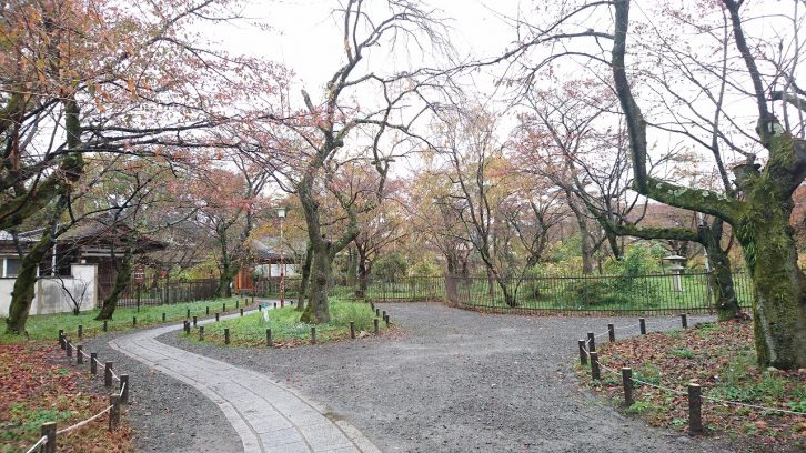 平野神社の写真