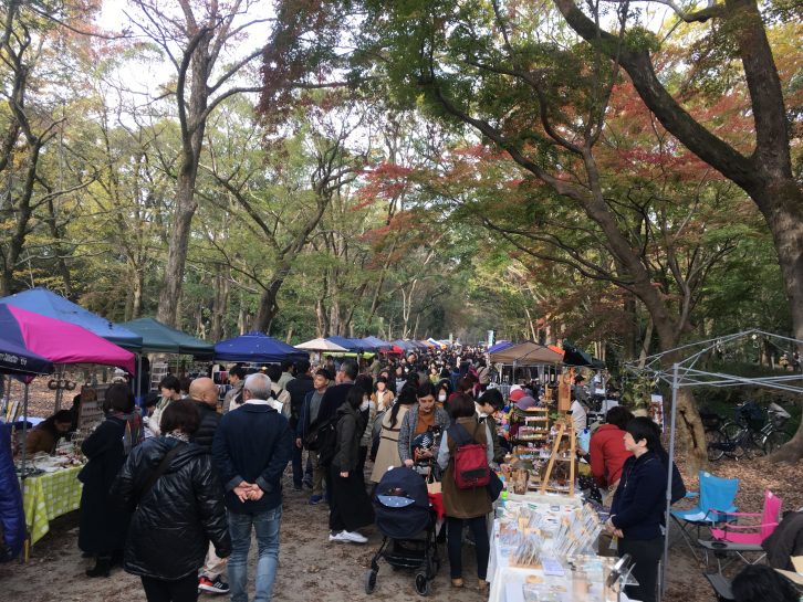 下鴨神社糺の森