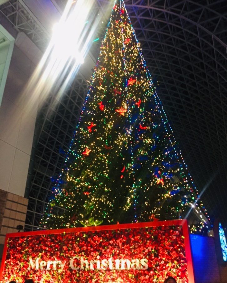 京都駅ビル　光のファンタジー2019の写真