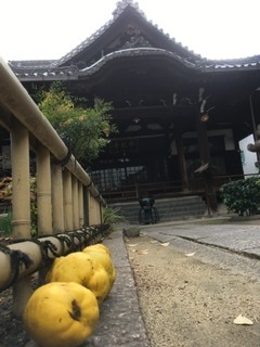 本教寺の写真