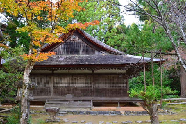 神護寺の写真