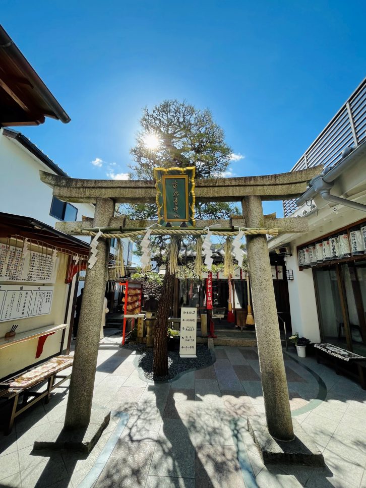 市比賣神社の写真