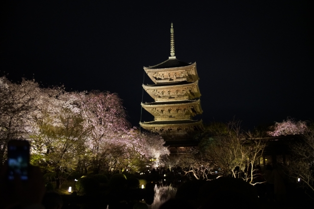 東寺の写真