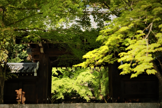 十三まいり（法輪寺）の写真