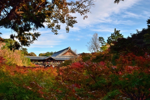 涅槃会（東福寺）の写真