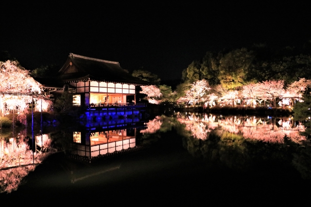 平安神宮紅しだれコンサート（平安神宮）の写真