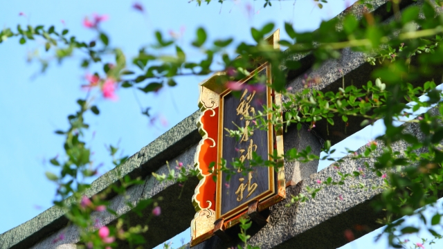 萩まつり（梨木神社）の写真