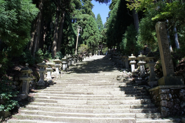 千日まいり（愛宕神社までの参道）の写真